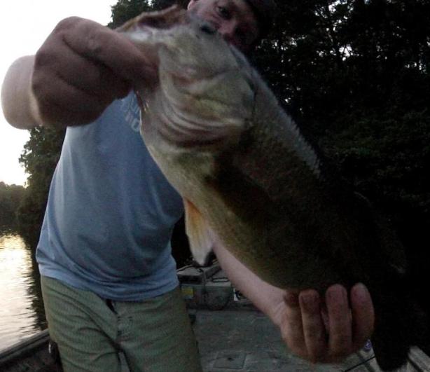 Getting dark, and the big bass are waking up!