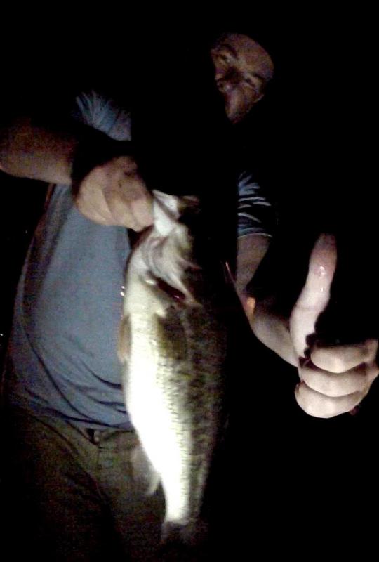 Night Fishing Rules!